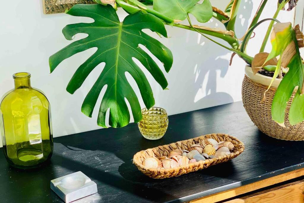 Begonia City Center Apartment 230 By Namaste Elite Torremolinos Bagian luar foto